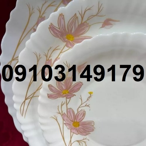 فروش عمده آرکوپال تهران