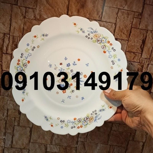 فروش بشقاب آرکوپال - تصویر 3