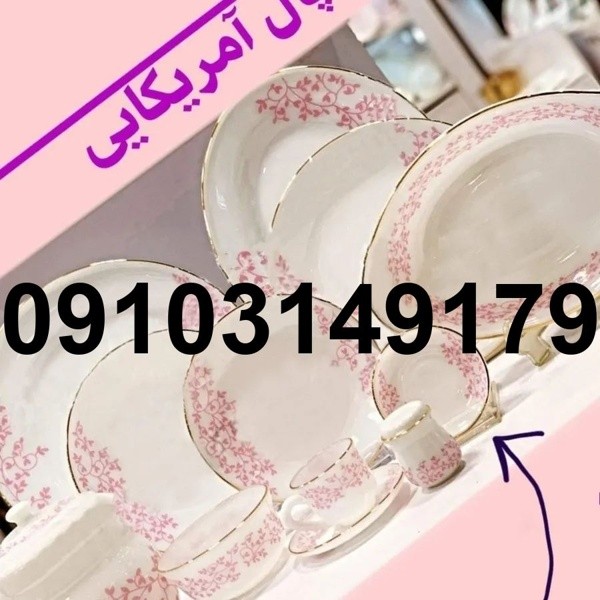قیمت آرکوپال آمریکایی جدید - تصویر 2
