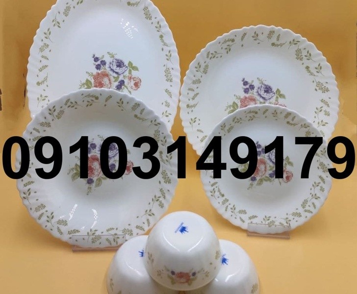 قیمت آرکوپال خارجی 12نفره - تصویر 4
