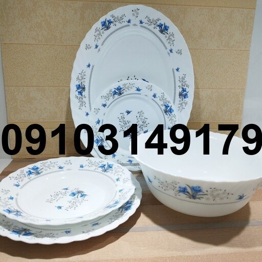 قیمت آرکوپال خارجی 12نفره - تصویر 8