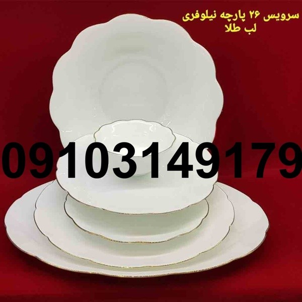 قیمت آرکوپال نیلوفری - تصویر 1