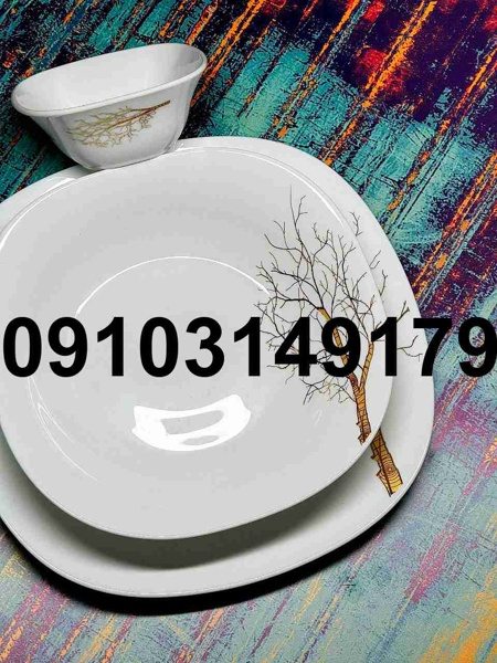 قیمت آرکوپال چینی مقصود - تصویر 2