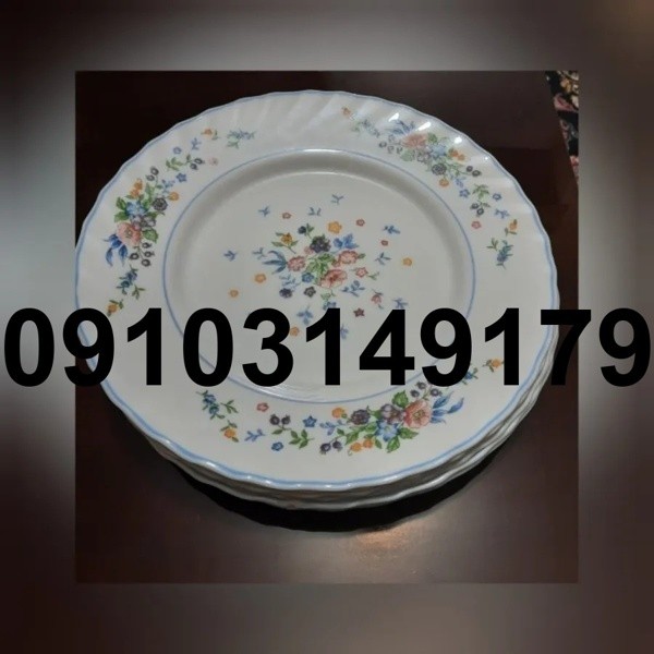 قیمت بشقاب غذاخوری آرکوپال فرانسه - تصویر 8
