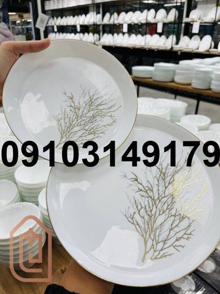 قیمت سرویس آرکوپال خارجی - تصویر 8